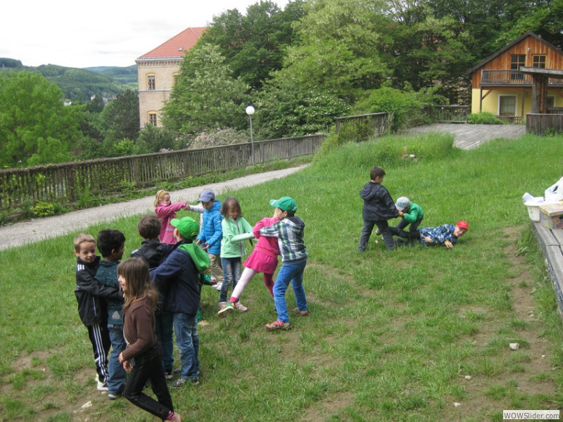 IMG7671