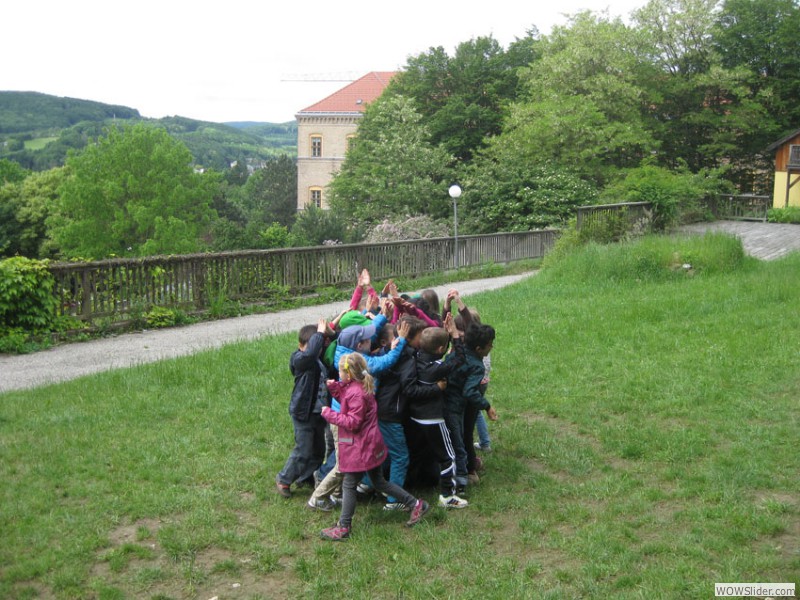 IMG7674