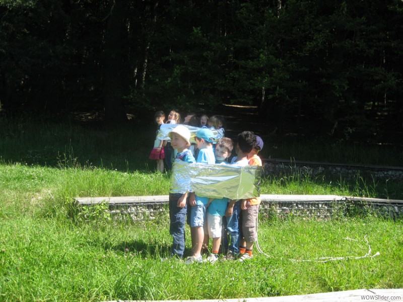 IMG7774