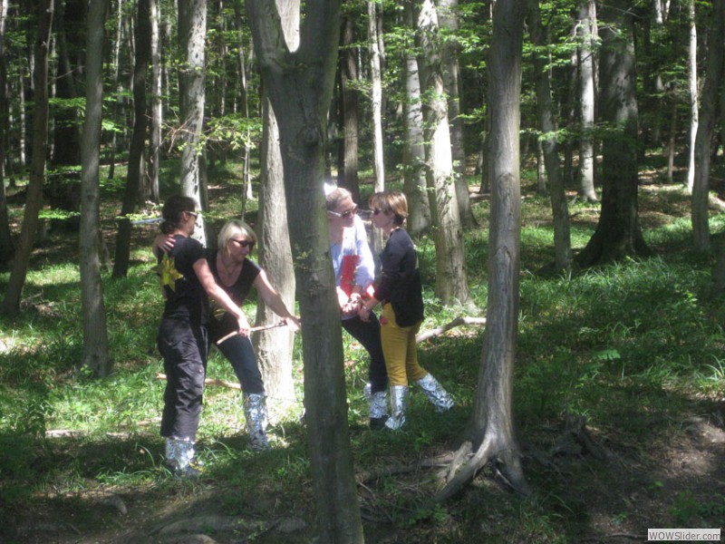 IMG7789